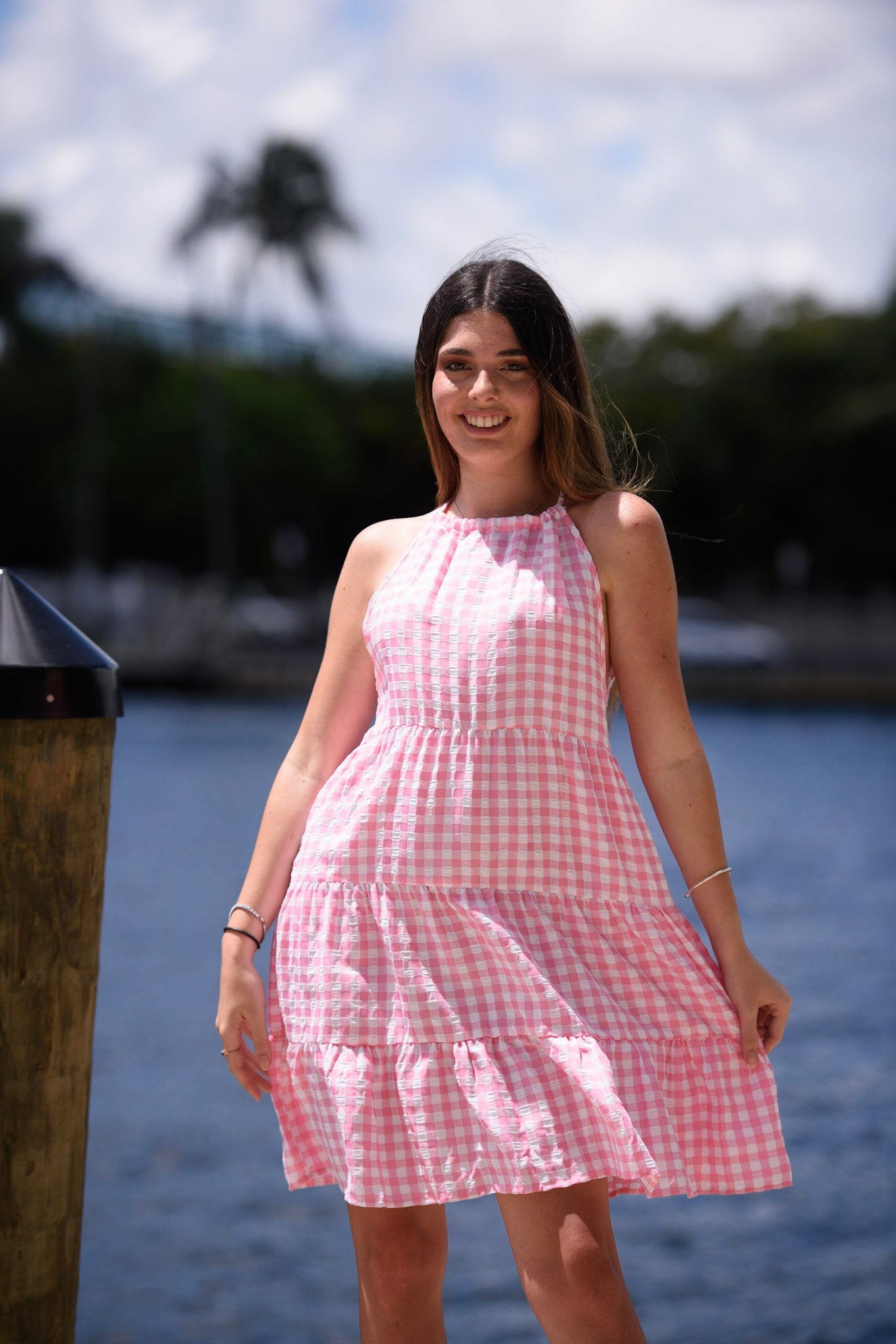 Susan pink print plaid dress